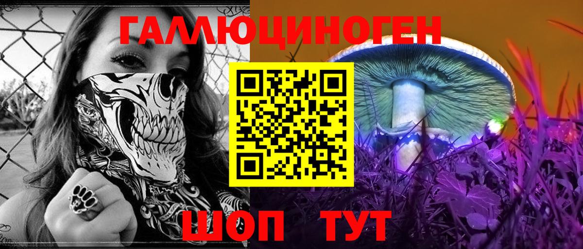Галлюциногенные грибы мицелий  как найти наркотики  Сокол  Вход с VPN  Псилоцибиновые грибы мухоморы 