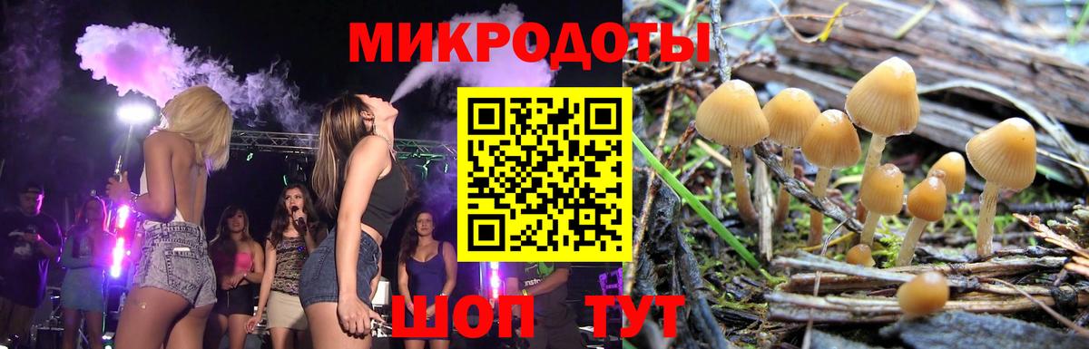 Галлюциногенные грибы Cubensis Сокол